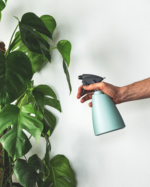 Household Services: A Comprehensive Guide